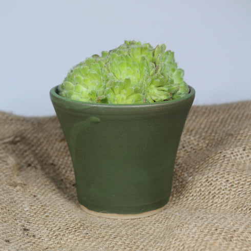 Mini Moss Green Fluted Handmade Ceramic Plant Pot